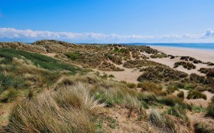 Braunton Burrows sand dunes at Saunton near Braunton on the North Devon coast, England, United Kingdom.