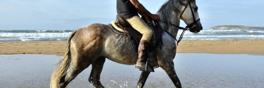 Horse Riding